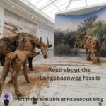 Sivathere Sculpture at West Coast Fossil Park