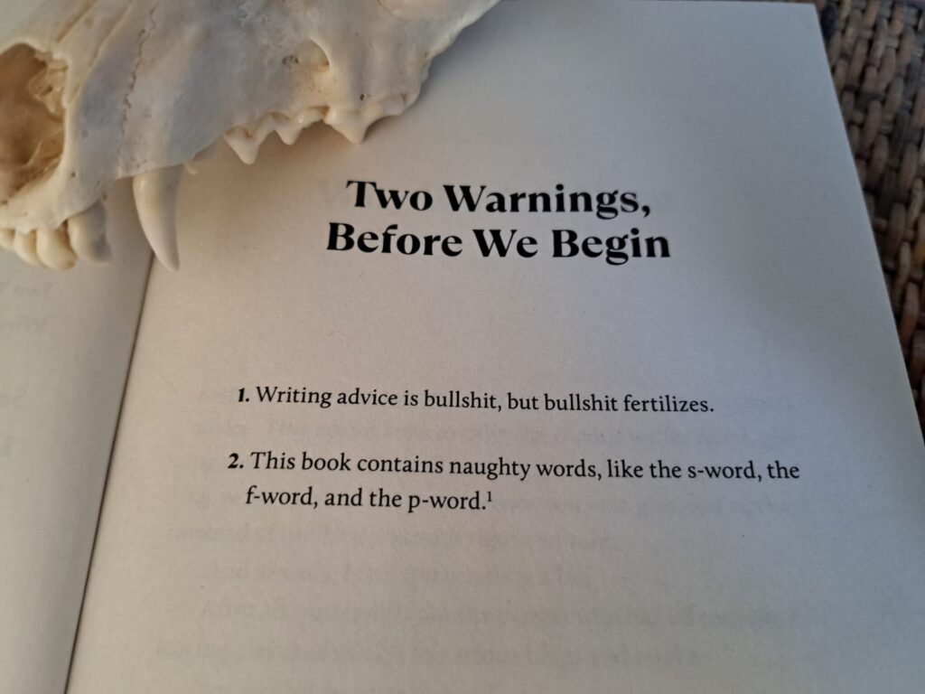 Gentle Writing Advise by Chuck Wendig
