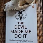 The Devil Made me Do it by Nicky Falkof